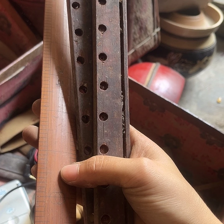 核桃木/黑胡桃（胡桃木）阳***烂