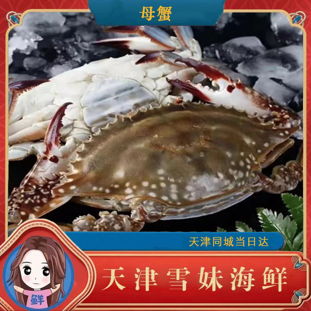 【保鲜不保活】肥母蟹  2斤-5斤 ，单只3-5两