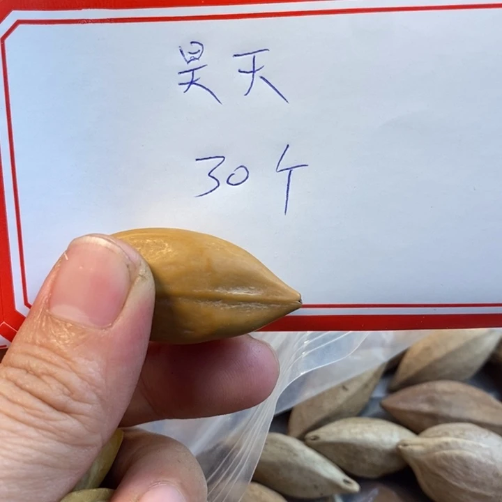 吊坠橄榄核?****天