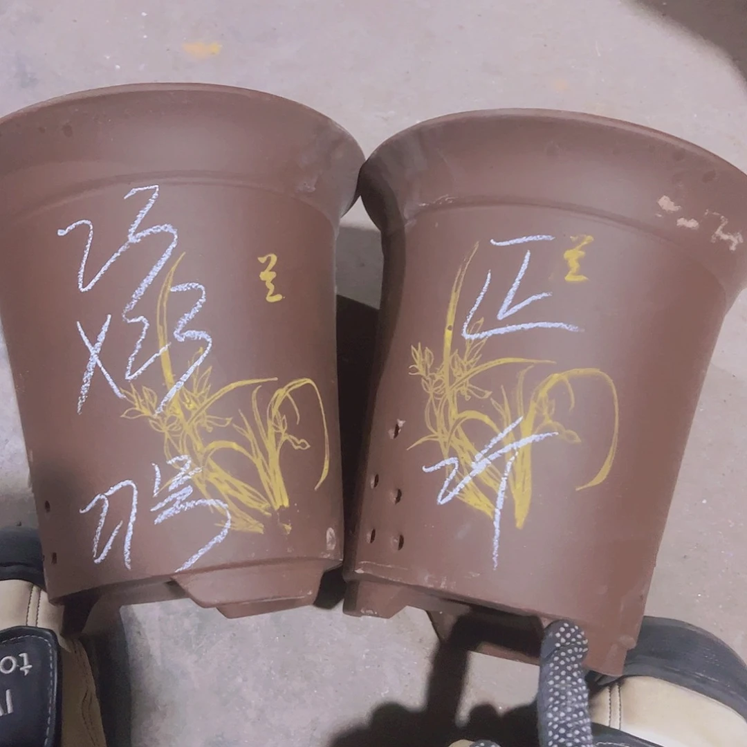 紫砂27……………………………………