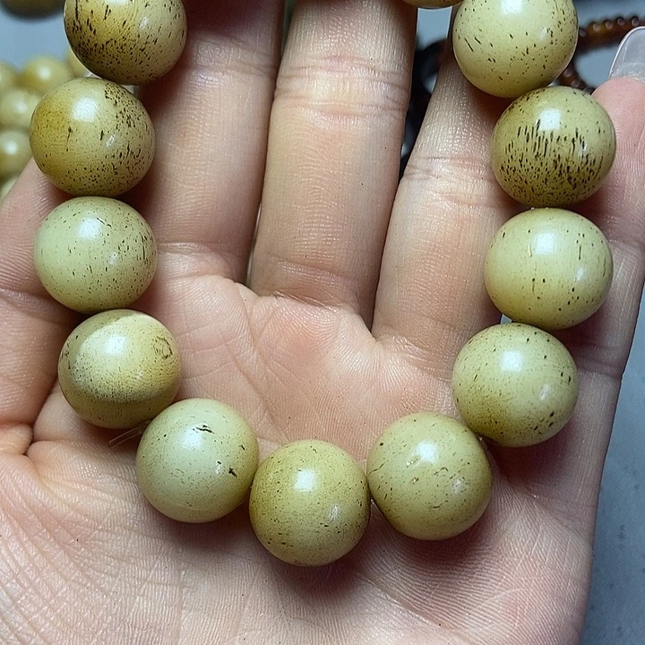 大果紫檀（缅甸花梨）
