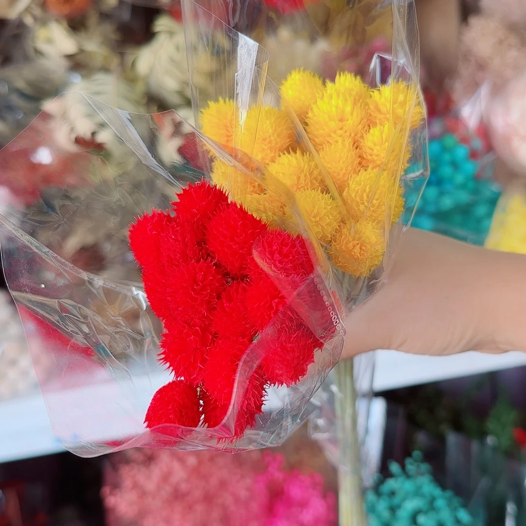 黄色红色千日红各1束