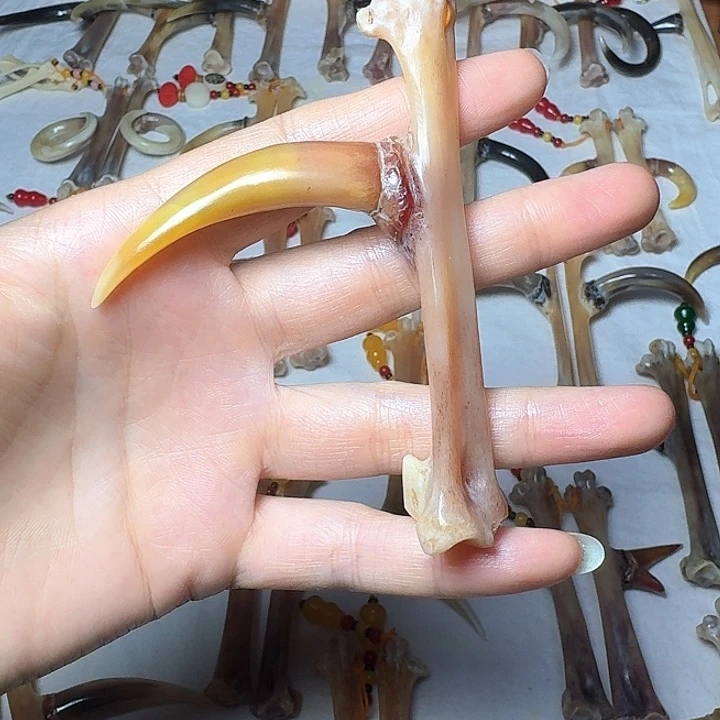剑***锋手串/手链鸡骨（鸡脚）鸡爪骨单只