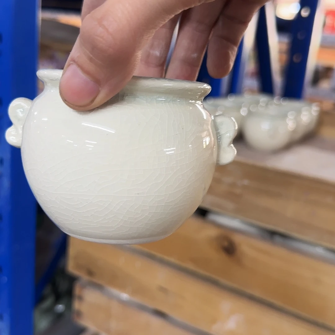 福利局绿植多肉盆［凑9元包邮24小时发］