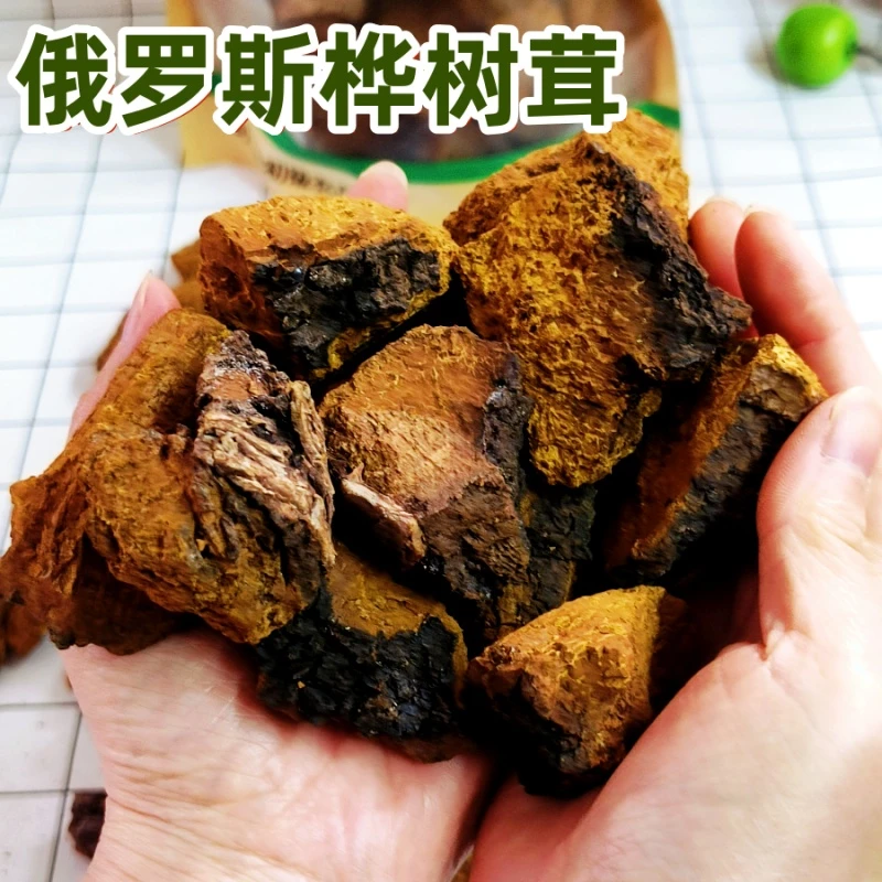 正品俄罗斯进口桦树茸天然白桦茸桦褐孔菌黑金切块白桦茸适合老人