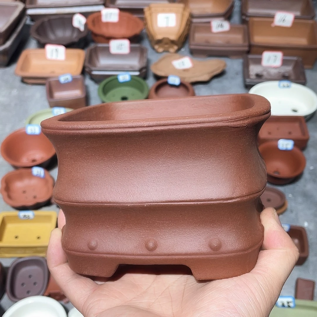 紫砂小盆12*8cmmmm