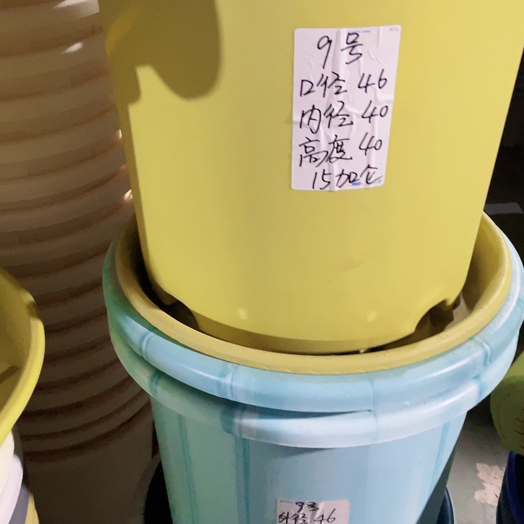 四季微瑕9号果绿无拖4个的