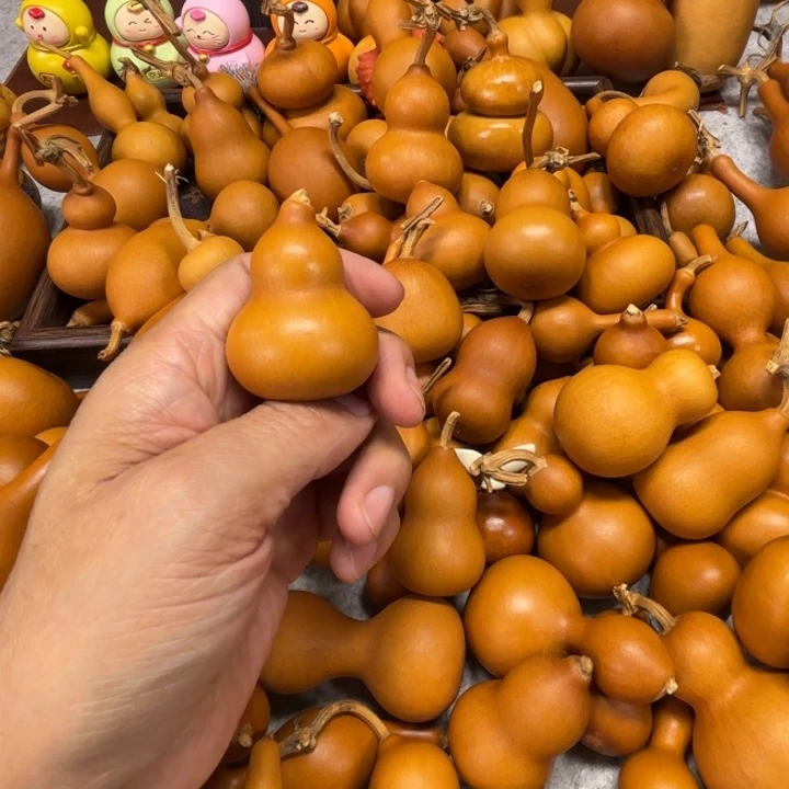 @***ɞ狐狸子的一把小胖墩葫芦