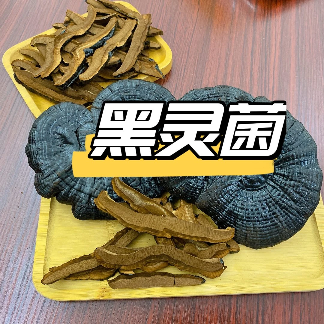 【福袋】 长白山黑灵菌 20g（万蓥）