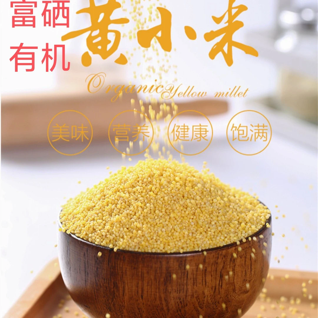 有机种植富硒黄小米香浓营养丰富适合学生月子宝宝辅食