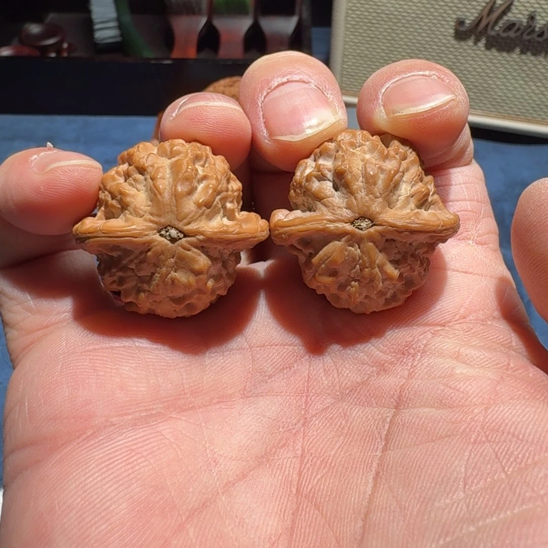 吊坠文玩核桃小金鱼34