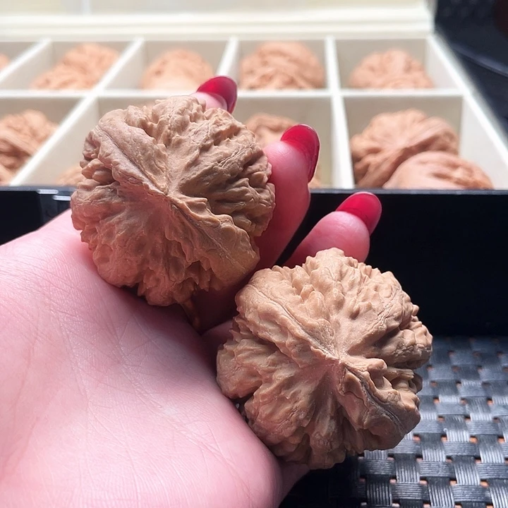 嗡***嗡霸王龙核桃尺寸44