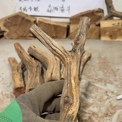 大果紫檀（缅甸花梨）昊***、