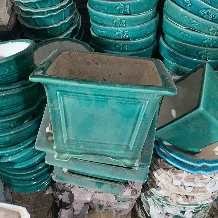 紫砂我要不明天要回家