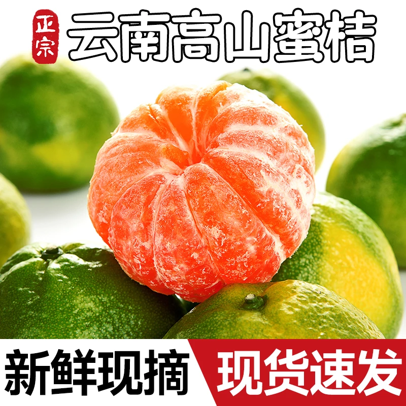 云南青皮蜜橘桔子特早熟蜜桔新鲜水果孕妇当季整箱柑橘无籽