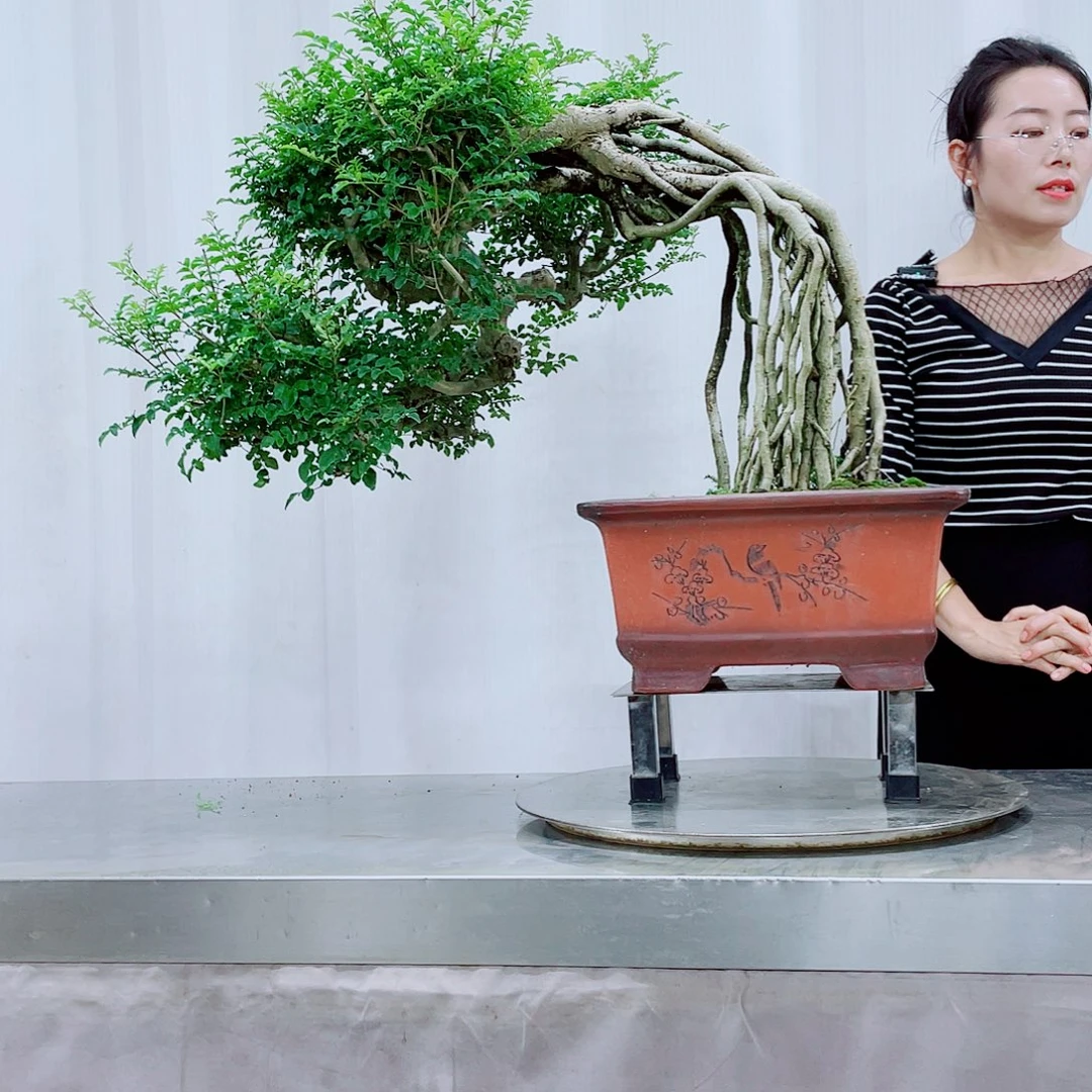 荣***）无花朵岭南文化艺术中心的