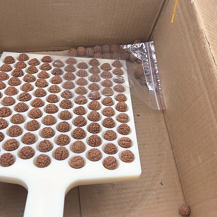 金刚菩提手串山****糠好评