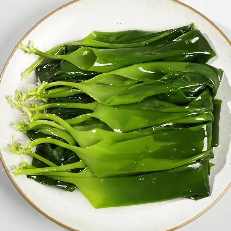 霞浦特优海带苗500g脆嫩凉拌盐渍翠绿爽滑煲汤火锅鲜嫩干净煮汤
