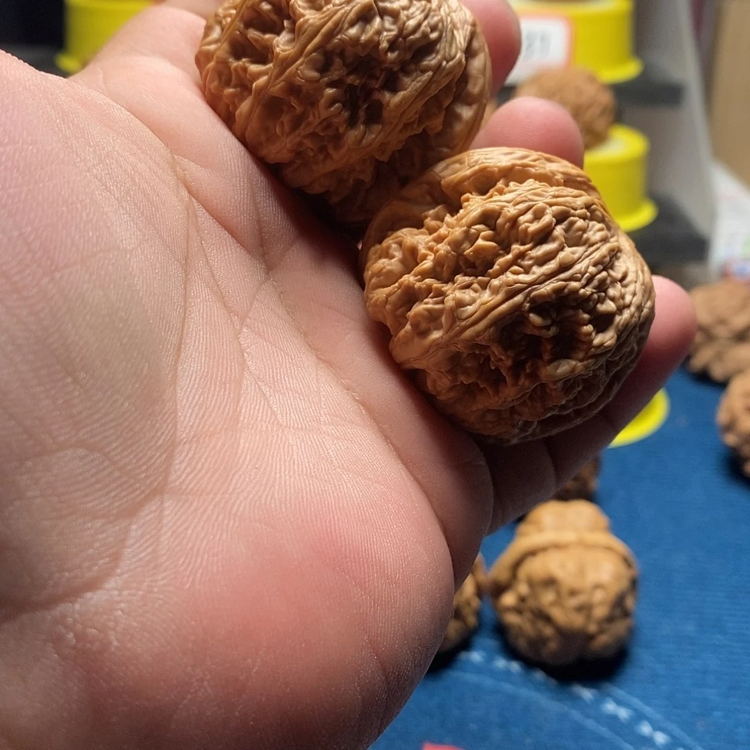 文玩核桃吊坠?****w刮尖大粗筋