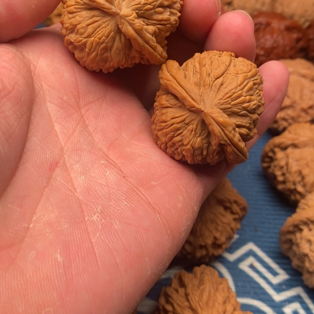 把件文玩核桃全品白狮子