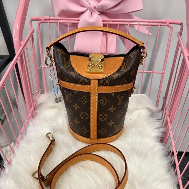 95新 LouisVuitton/路易威登 老花薯条单肩包/jm