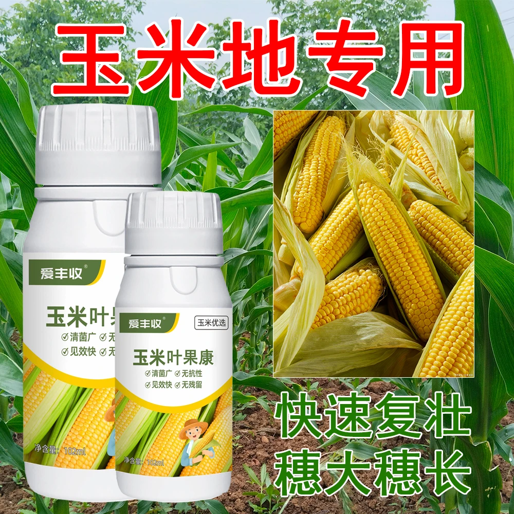 爱丰收玉米微生物菌剂玉米专用微生物叶面肥穗大授粉好增产提质