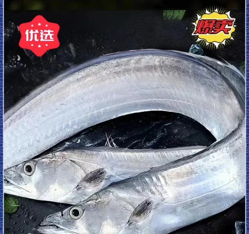 新鲜整条带鱼  肉质细嫩  【6-7两左右/条】  连云港发货