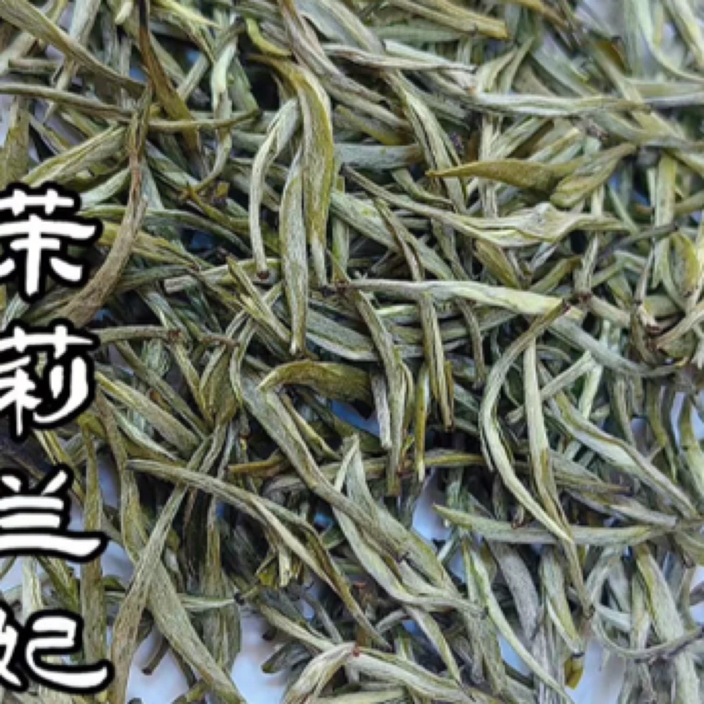 【秀魁茉莉兰妃100g】茉莉花香浓郁芽头茶