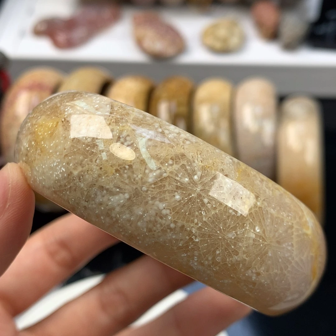 【闪购商品】硅化珊瑚（珊瑚玉）手镯未镶嵌手镯上新59.1（10号）