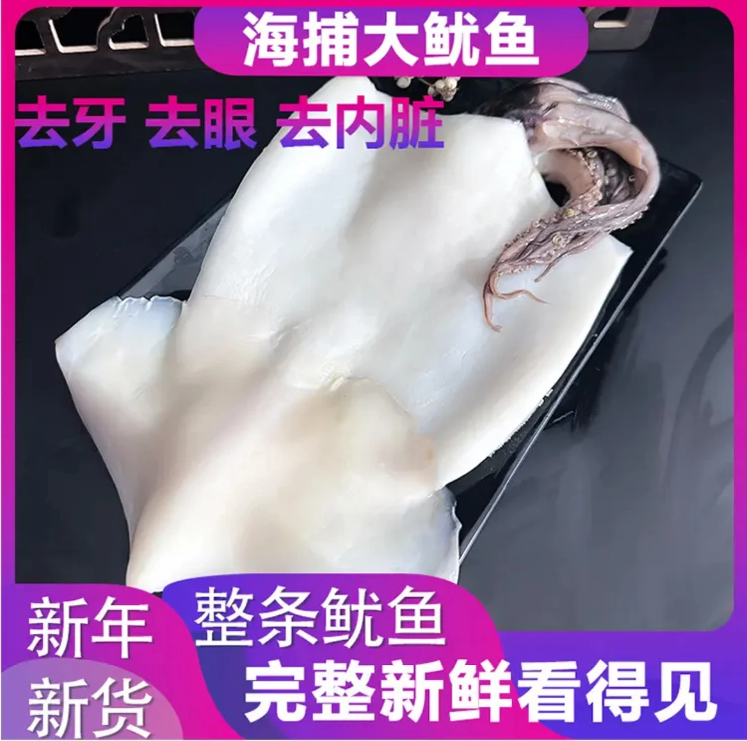 无泡药 连云港新鲜海捕去皮去内脏鱿鱼 清蒸白灼烧烤爆炒