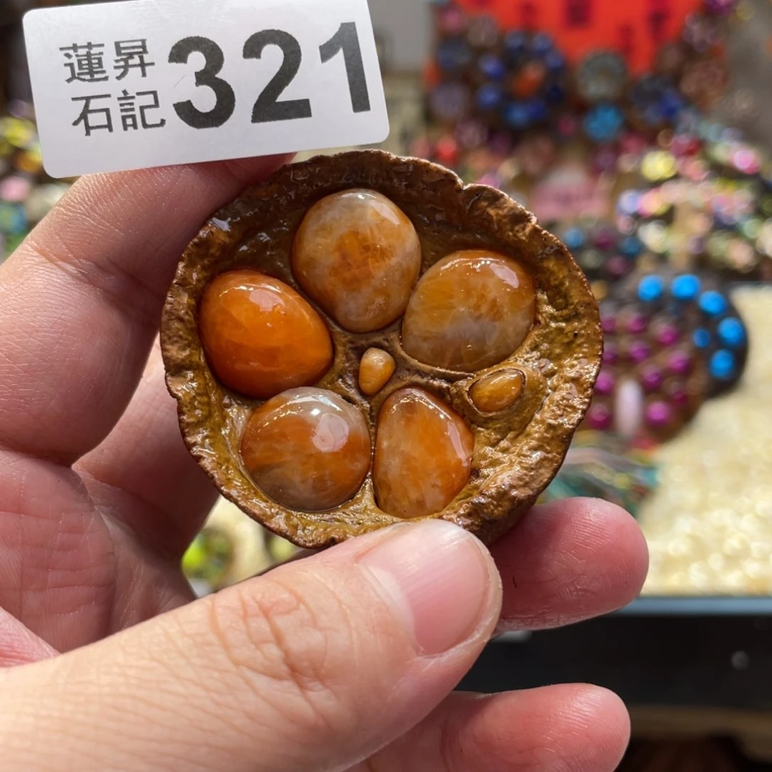 核桃木/黑胡桃（胡桃木）321