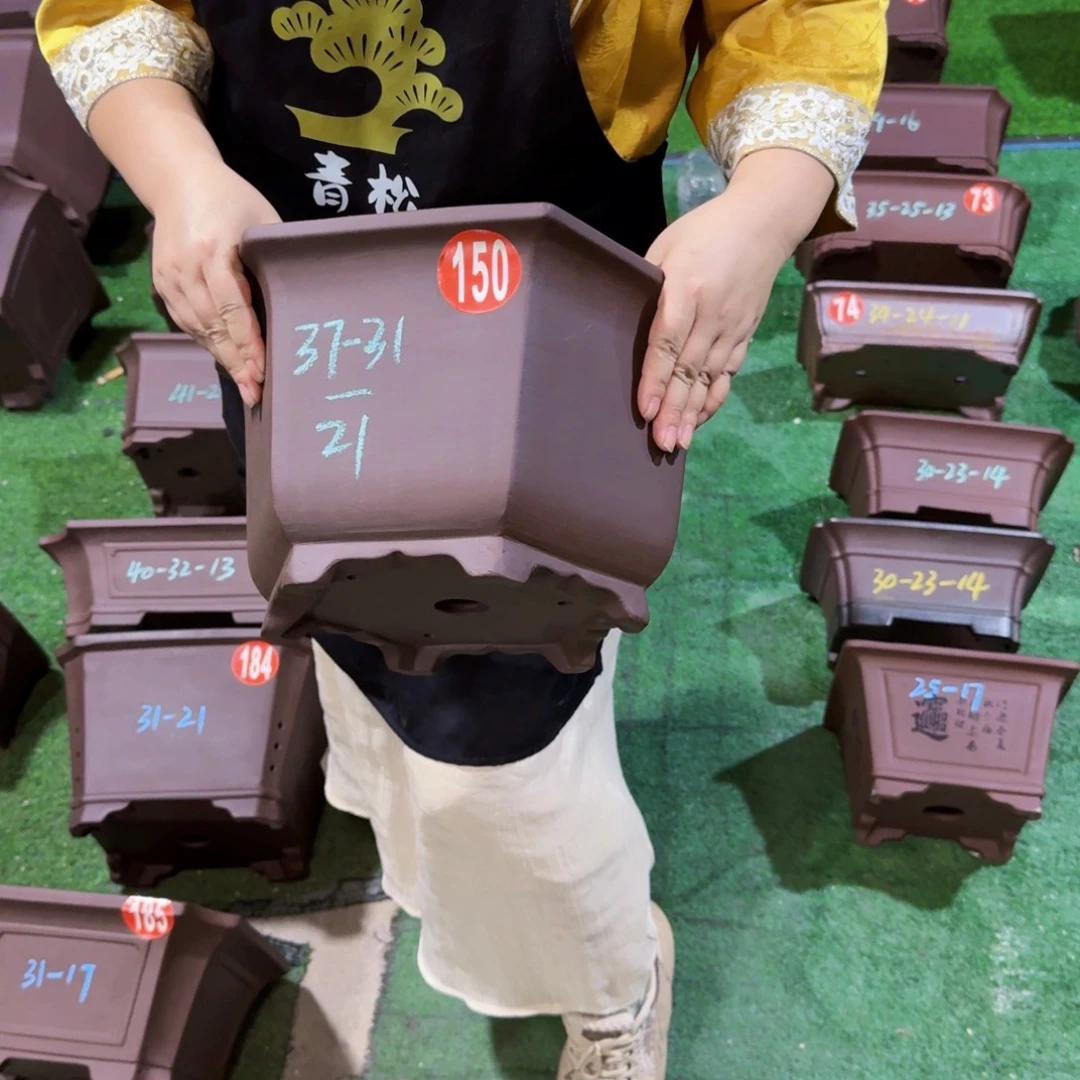 花盆紫砂紫砂花盆