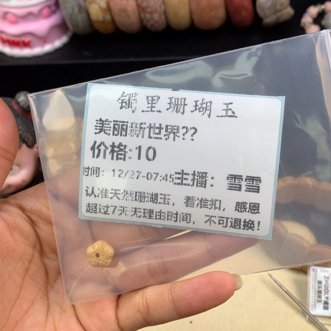 美***界硅化珊瑚（珊瑚玉）未镶嵌吊坠(赠链)