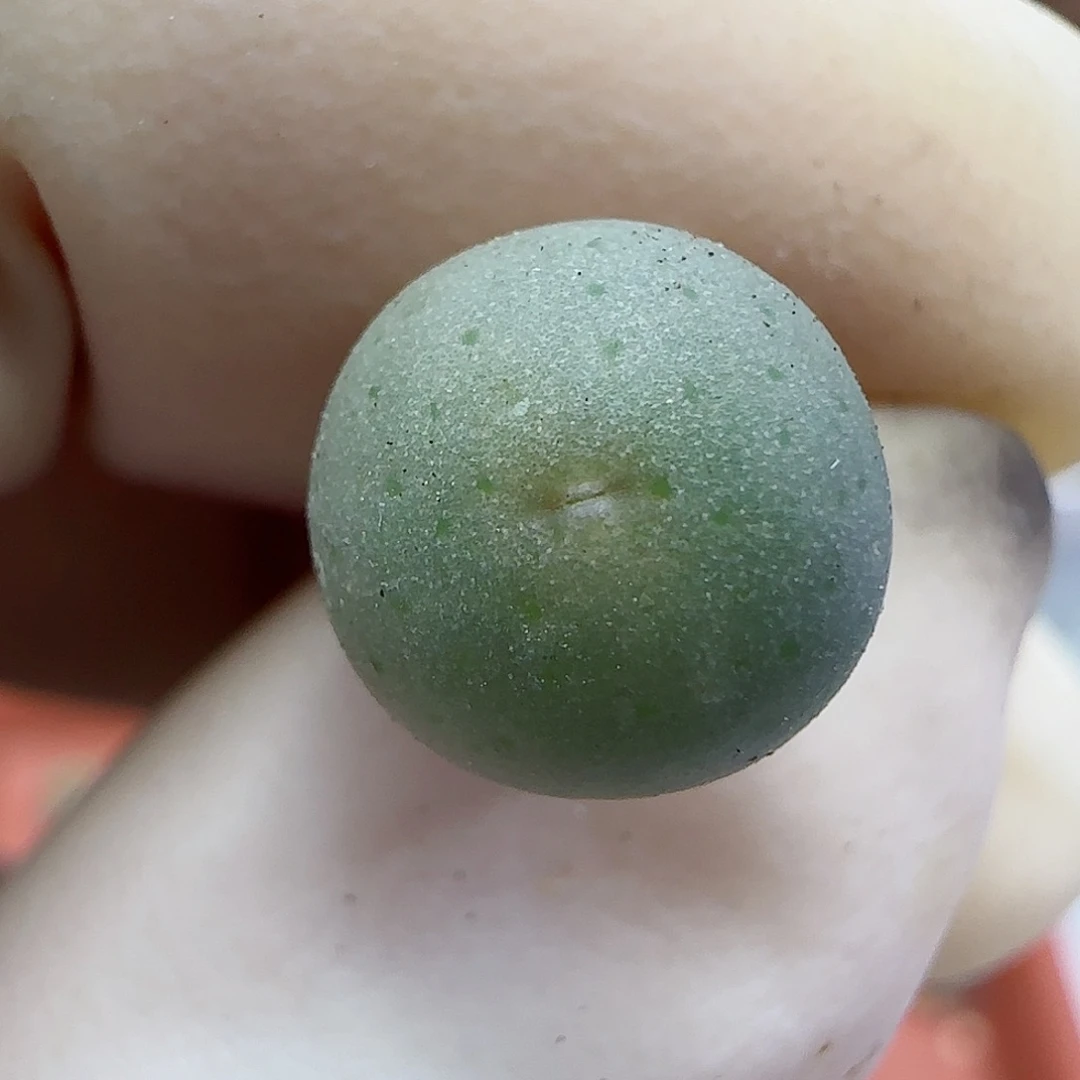 687嘴1102福利福利