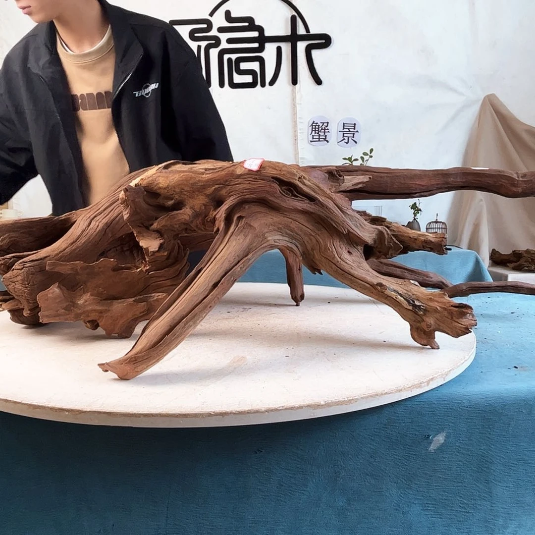 沉木造景爬宠造景