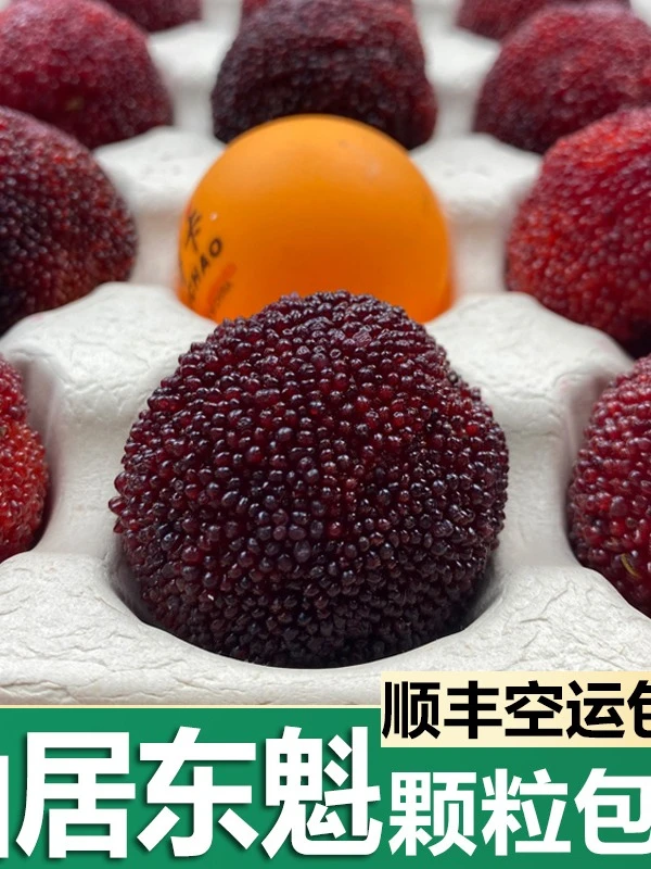 12A颗粒装33g以上正宗仙居东魁杨梅新鲜水果顺丰冷链现摘现发