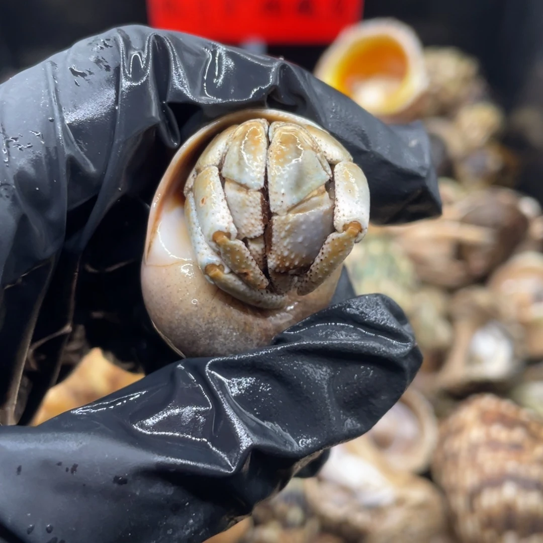 不退不换谢谢支持41