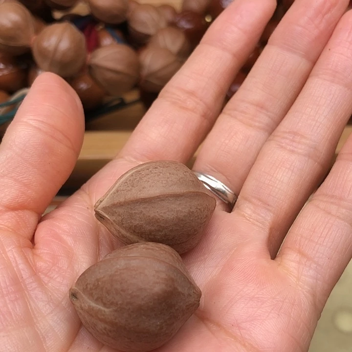 你***饼手串橄榄核梅林铁核21 X27三通