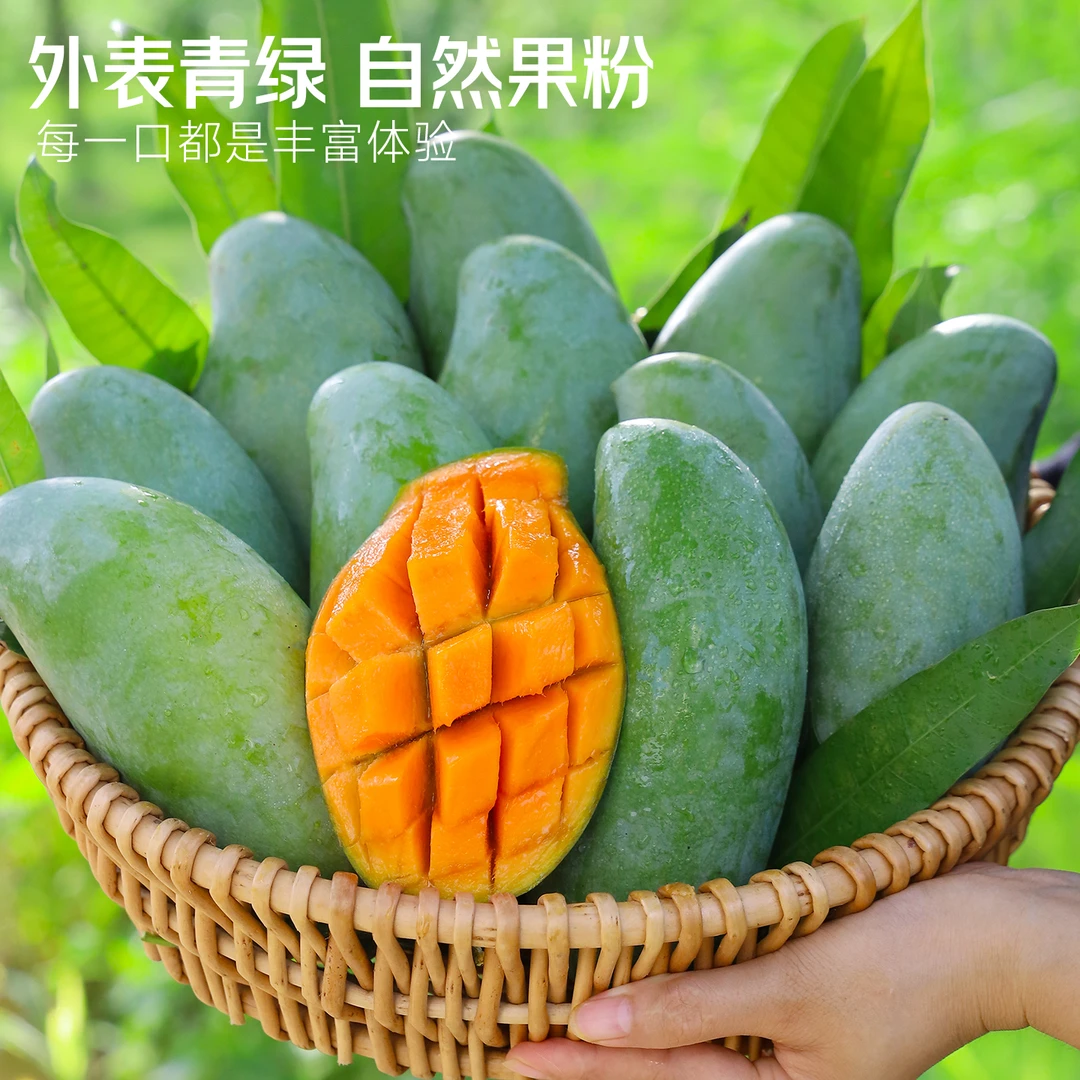 【正宗桂七芒果】YA广西百色桂七芒果香甜软糯产地直发当季新鲜水果