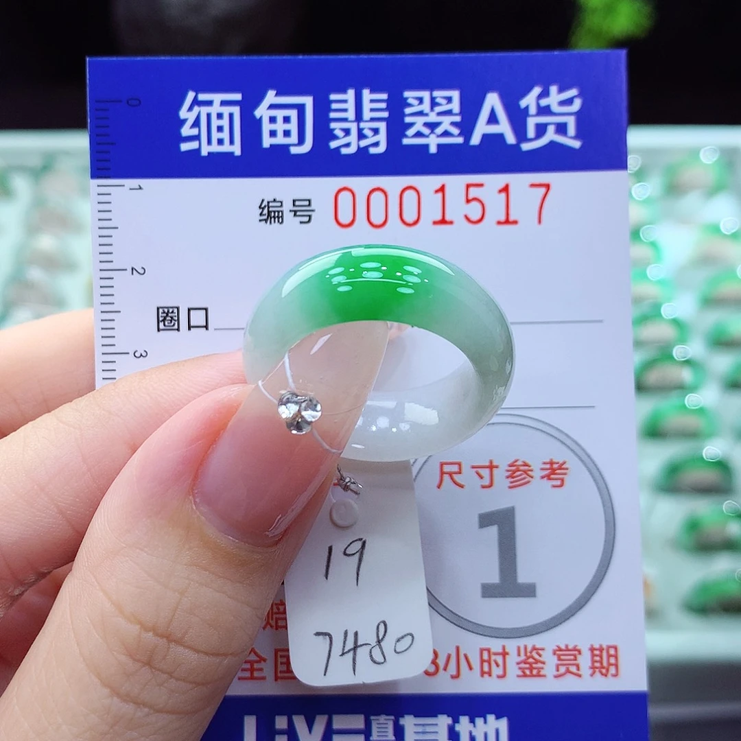 翡翠戒指未镶嵌19号
