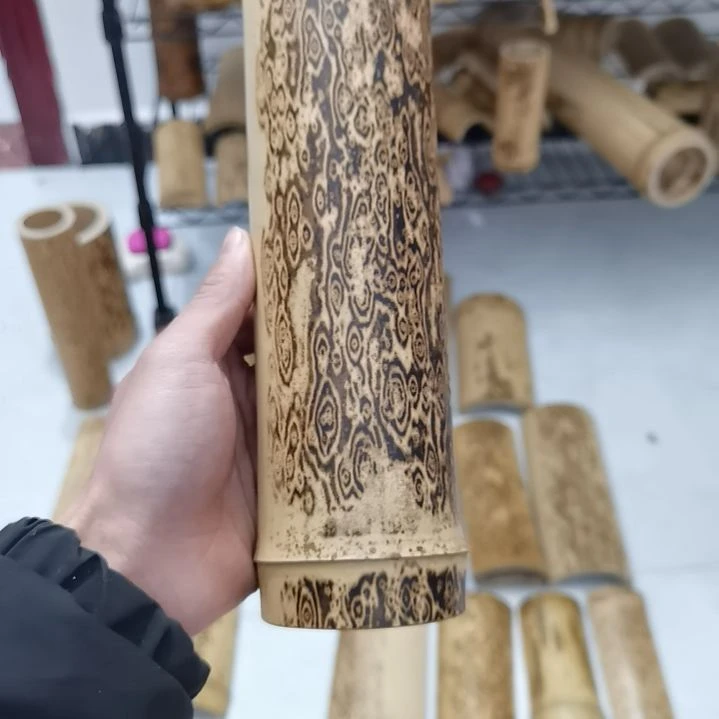 云*纯天然凤眼花斑竹