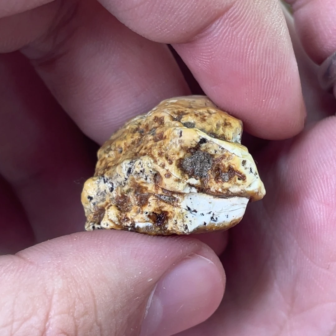 定制琥珀天然琥珀12➕奥利奥圆珠