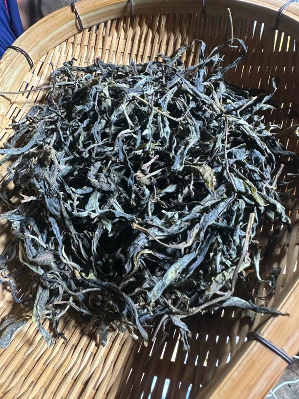 2025年云南临沧下磨烈古树单株生茶散 7月16日（23号）