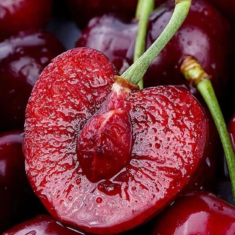 大连美早大樱桃【高端送礼脆甜美早】大连车厘子现采现发空运