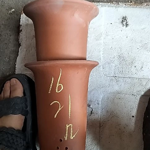 小红兰花两个微瑕几