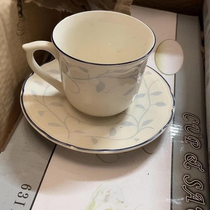 杯皇家瓷咖啡杯碟一套