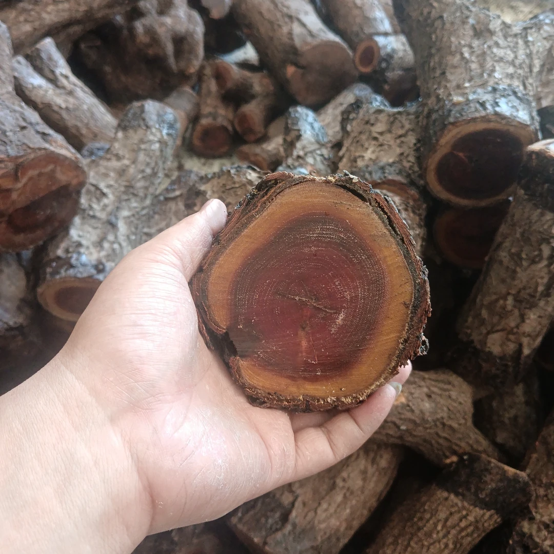 精品火琉璃麻利各种原木