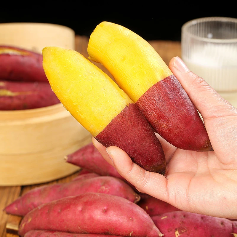 【煮】新鲜现挖天目山小香薯超甜软糯好吃农家自种粗粮美食