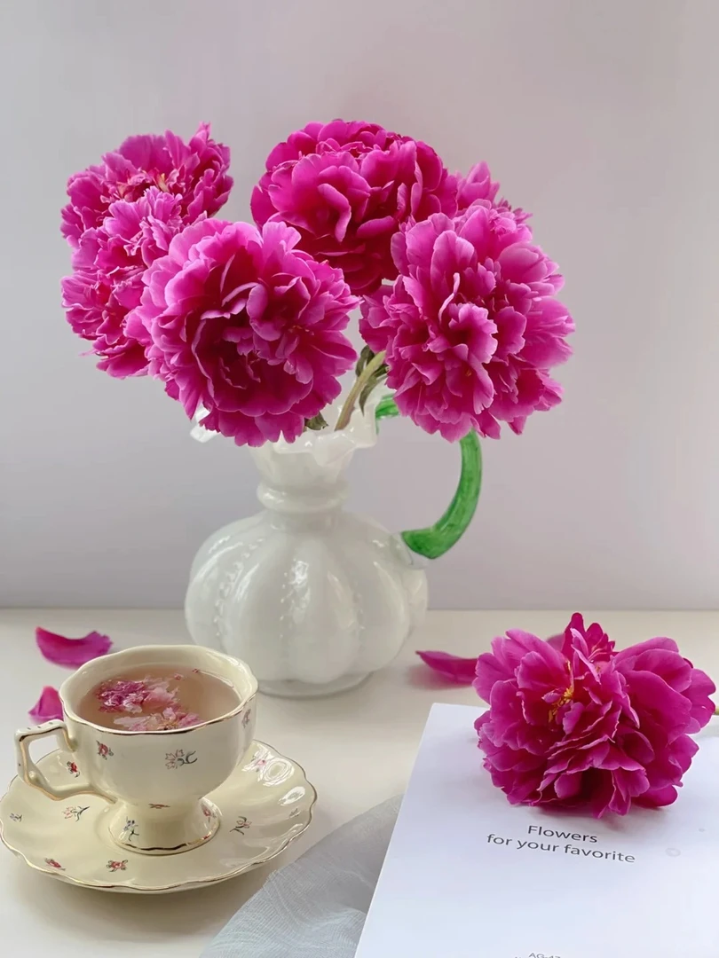 【藩篱匠人/红绣球】山东重瓣芍药办公家养鲜切花云南直发