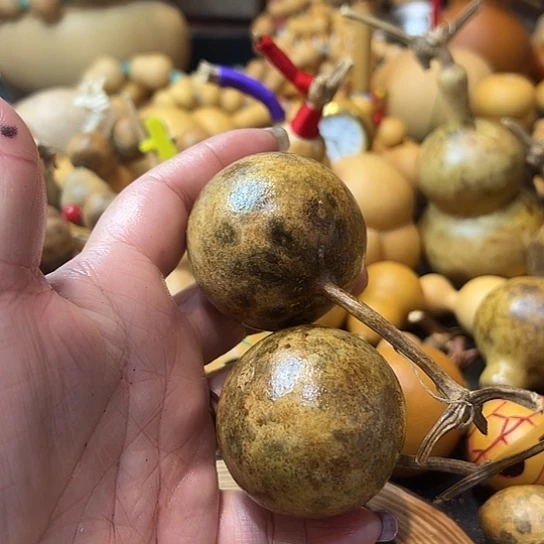 蔚**空葫芦葫芦葫芦葫芦